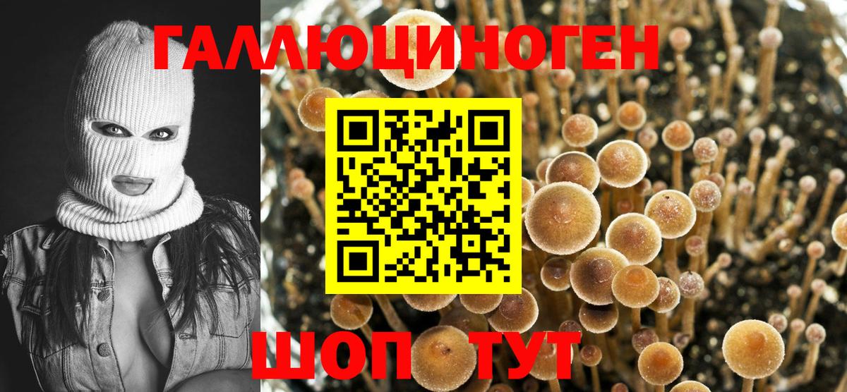 Галлюциногенные грибы мицелий Черногорск